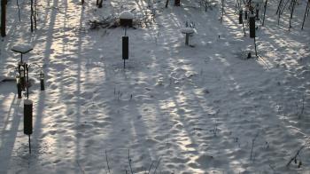Weather camera view of Cincinnati Nature Center.