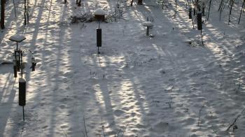 Weather camera view of Cincinnati Nature Center.