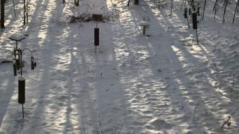 Weather camera view of Cincinnati Nature Center.