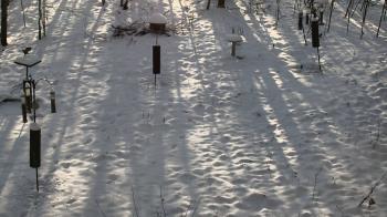 Weather camera view of Cincinnati Nature Center.