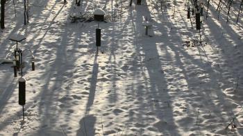 Weather camera view of Cincinnati Nature Center.