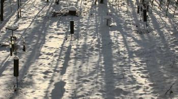 Weather camera view of Cincinnati Nature Center.