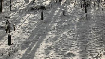 Weather camera view of Cincinnati Nature Center.