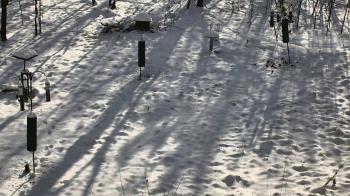 Weather camera view of Cincinnati Nature Center.