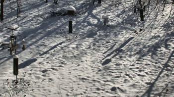 Weather camera view of Cincinnati Nature Center.