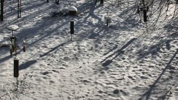 Weather camera view of Cincinnati Nature Center.
