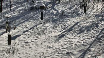 Weather camera view of Cincinnati Nature Center.