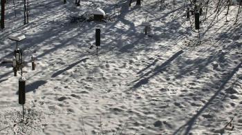 Weather camera view of Cincinnati Nature Center.