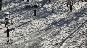 Weather camera view of Cincinnati Nature Center.