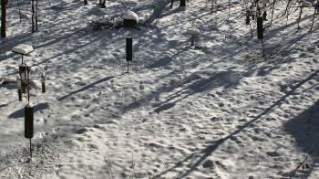 Weather camera view of Cincinnati Nature Center.