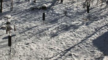 Weather camera view of Cincinnati Nature Center.