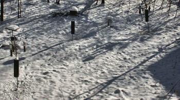 Weather camera view of Cincinnati Nature Center.