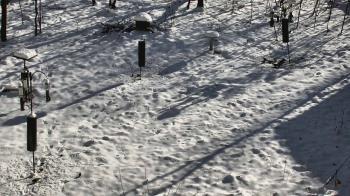 Weather camera view of Cincinnati Nature Center.