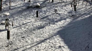 Weather camera view of Cincinnati Nature Center.
