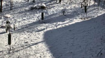 Weather camera view of Cincinnati Nature Center.