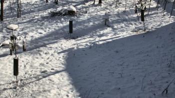 Weather camera view of Cincinnati Nature Center.