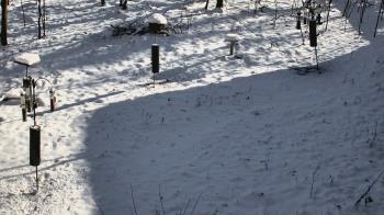 Weather camera view of Cincinnati Nature Center.