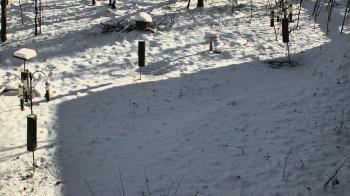 Weather camera view of Cincinnati Nature Center.