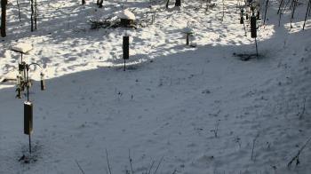 Weather camera view of Cincinnati Nature Center.