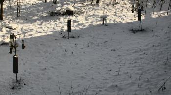 Weather camera view of Cincinnati Nature Center.