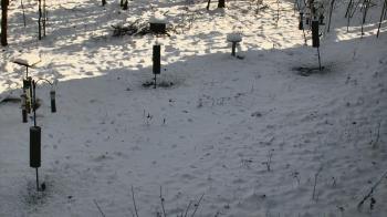 Weather camera view of Cincinnati Nature Center.