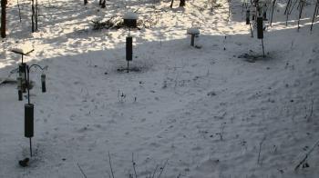 Weather camera view of Cincinnati Nature Center.