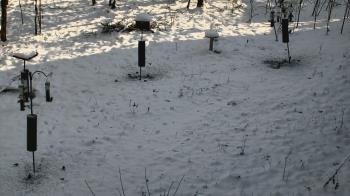 Weather camera view of Cincinnati Nature Center.
