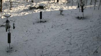 Weather camera view of Cincinnati Nature Center.