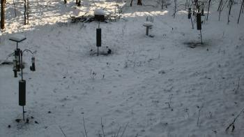 Weather camera view of Cincinnati Nature Center.