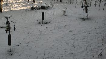 Weather camera view of Cincinnati Nature Center.