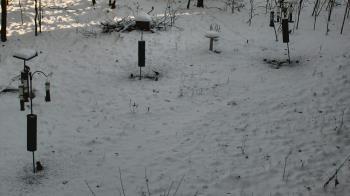 Weather camera view of Cincinnati Nature Center.