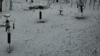 Weather camera view of Cincinnati Nature Center.