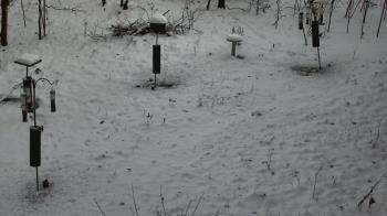 Weather camera view of Cincinnati Nature Center.