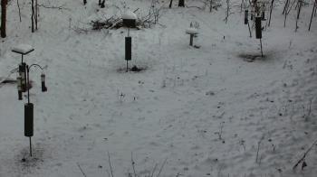 Weather camera view of Cincinnati Nature Center.