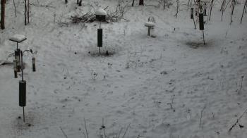 Weather camera view of Cincinnati Nature Center.