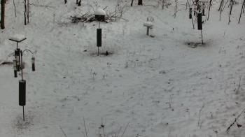 Weather camera view of Cincinnati Nature Center.