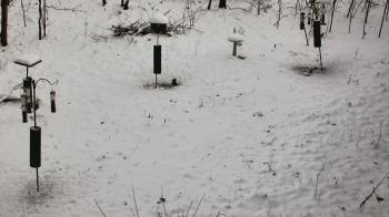 Weather camera view of Cincinnati Nature Center.