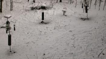 Weather camera view of Cincinnati Nature Center.