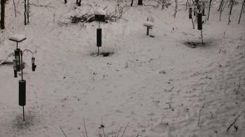 Weather camera view of Cincinnati Nature Center.