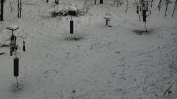 Weather camera view of Cincinnati Nature Center.