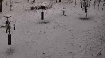 Weather camera view of Cincinnati Nature Center.