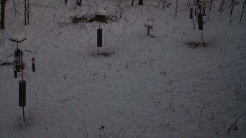 Weather camera view of Cincinnati Nature Center.