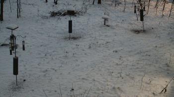 Weather camera view of Cincinnati Nature Center.