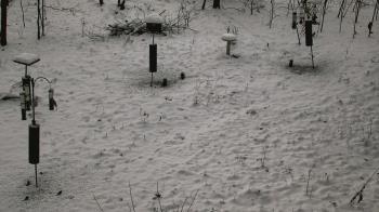 Weather camera view of Cincinnati Nature Center.