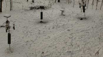 Weather camera view of Cincinnati Nature Center.