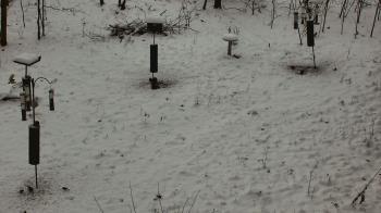 Weather camera view of Cincinnati Nature Center.