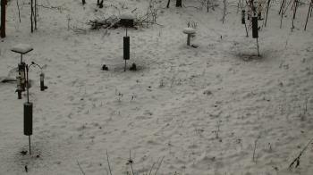 Weather camera view of Cincinnati Nature Center.