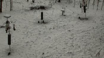 Weather camera view of Cincinnati Nature Center.