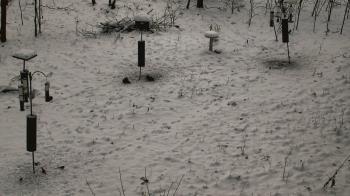 Weather camera view of Cincinnati Nature Center.