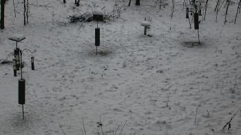 Weather camera view of Cincinnati Nature Center.